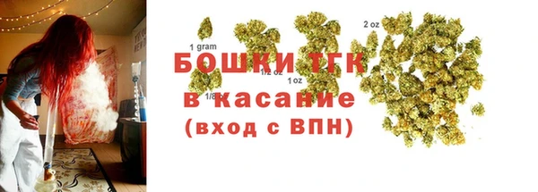 молекула духа Касимов