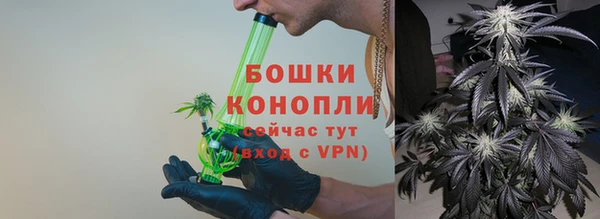 гидропоника Карпинск